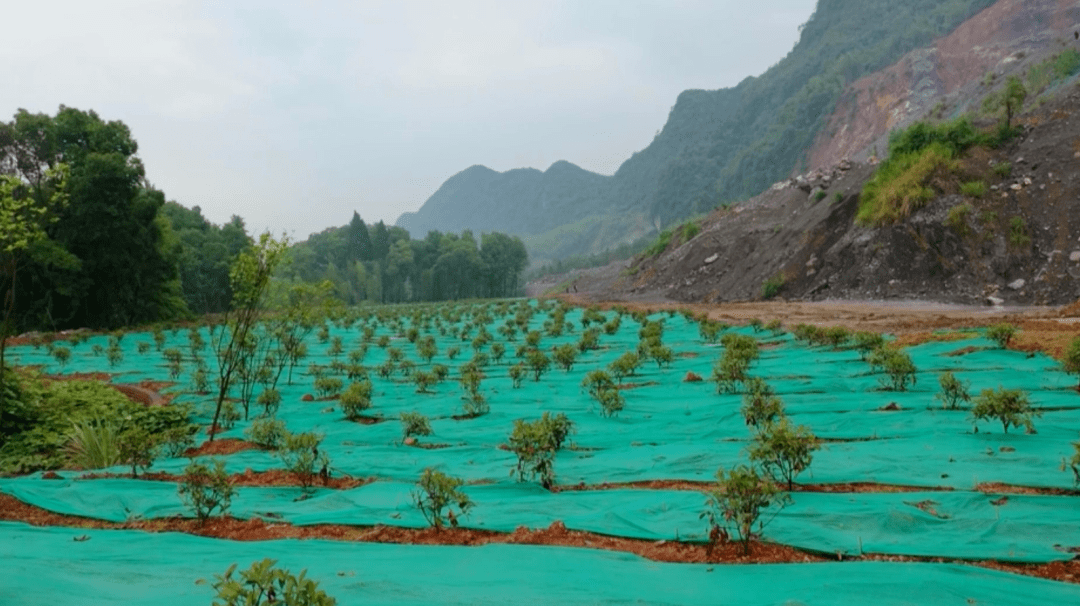 分宜矿山复绿展新颜