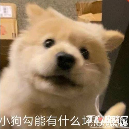 修勾什么梗_小狗_勾是_谐音