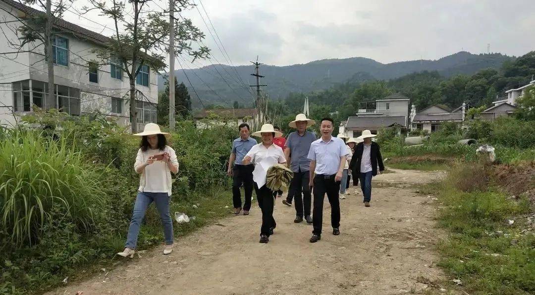 办好旅发会 一起向未来丨洪家关白族乡助力旅发会：齐头并进推项目、倒排工期抓进度