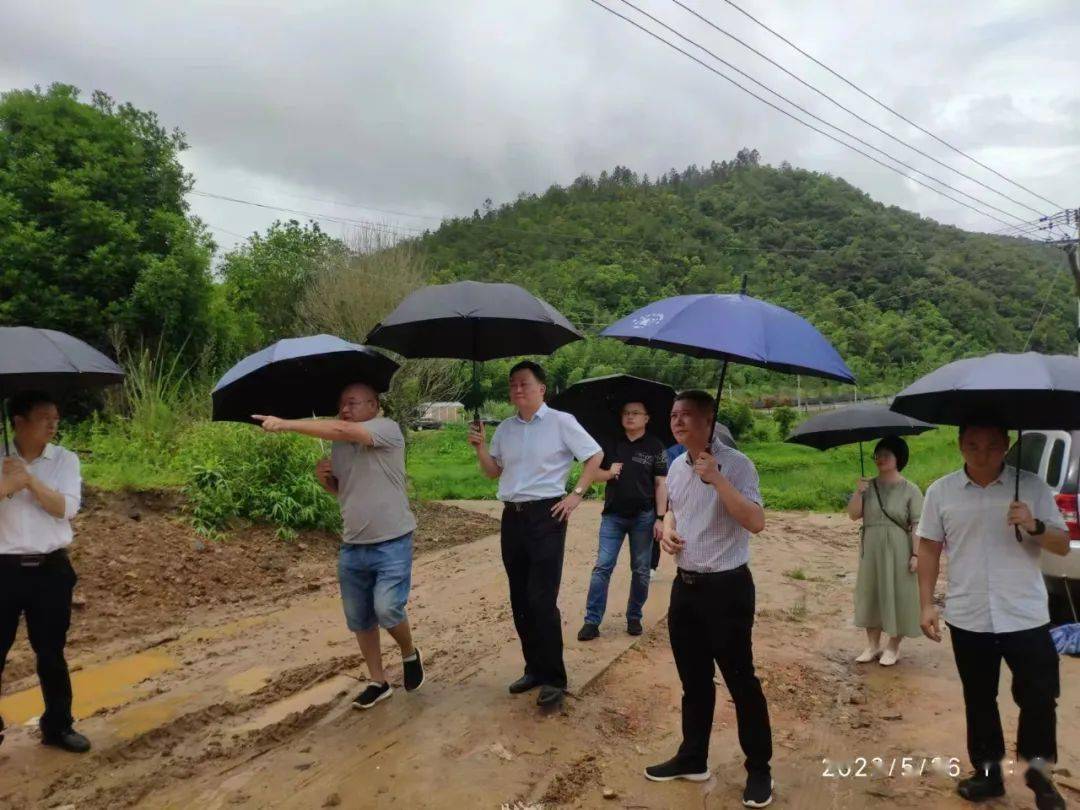 定南县自然资源局一周工作回顾第十三期