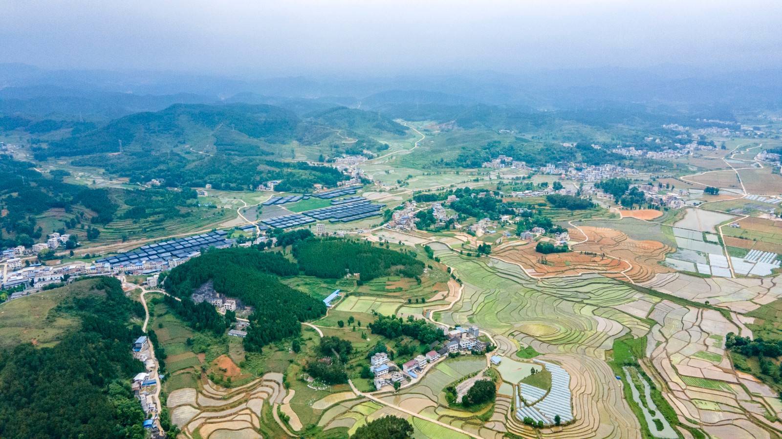 岑巩县水尾镇生态农业助增收