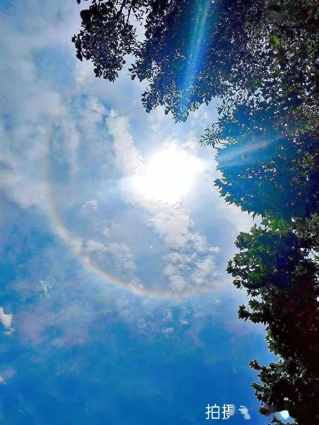 斯人若彩虹遇上方知有