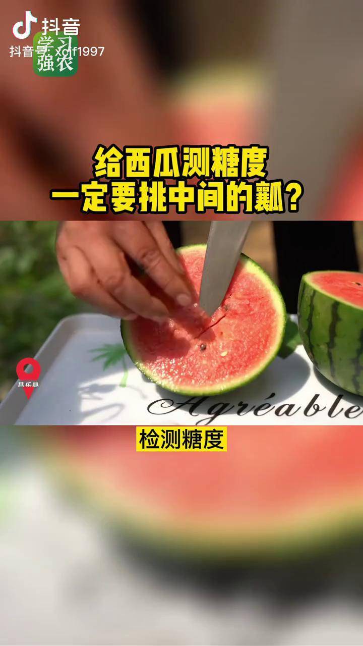 给西瓜测糖度一定要挑中间的瓤02西瓜