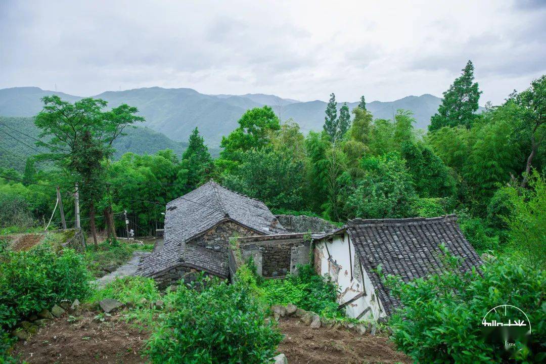 余姚这个村的人太幸福了居然能住在泡泡屋里还到处都是网红打卡点