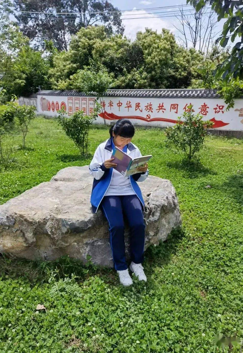 他们是新时代南涧好少年