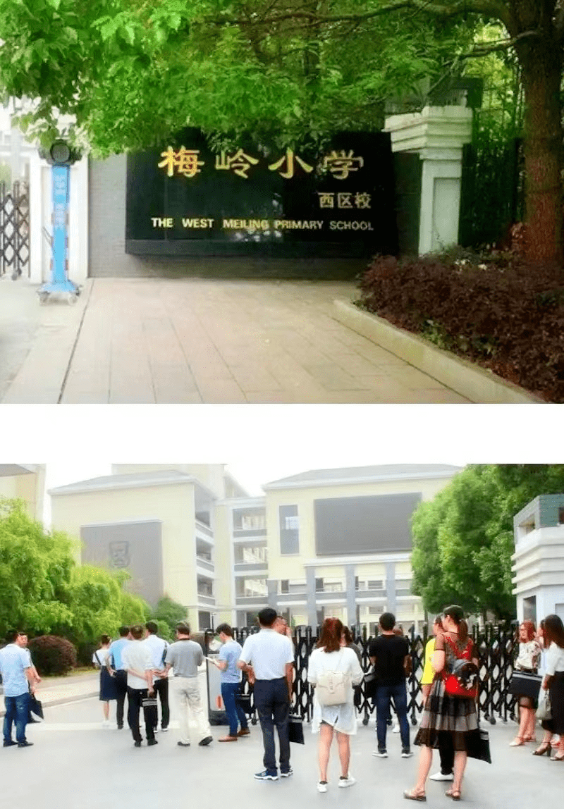 扬州梅岭小学生死亡图片