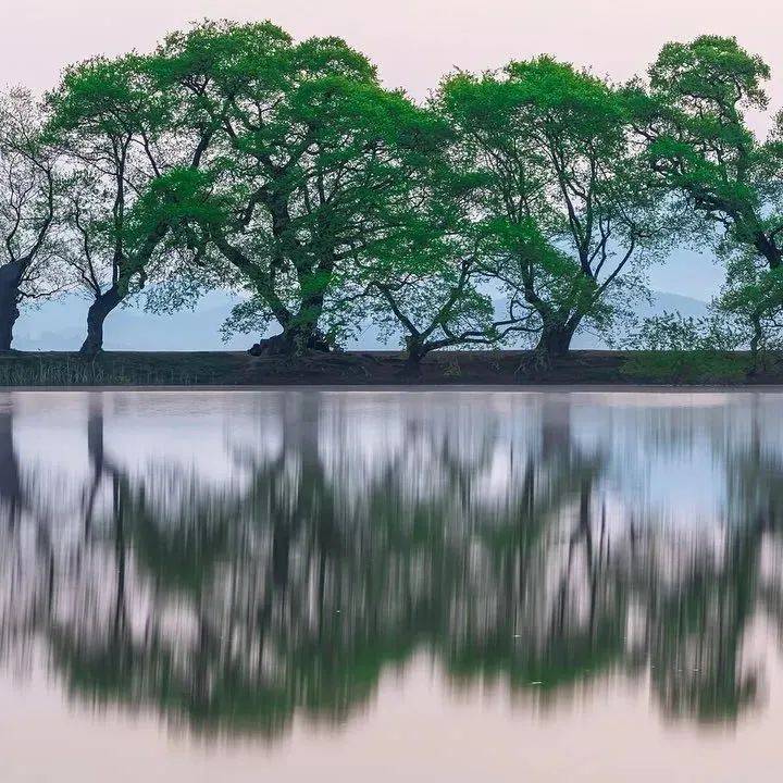 惊艳,树影_fuhua_Photo_com