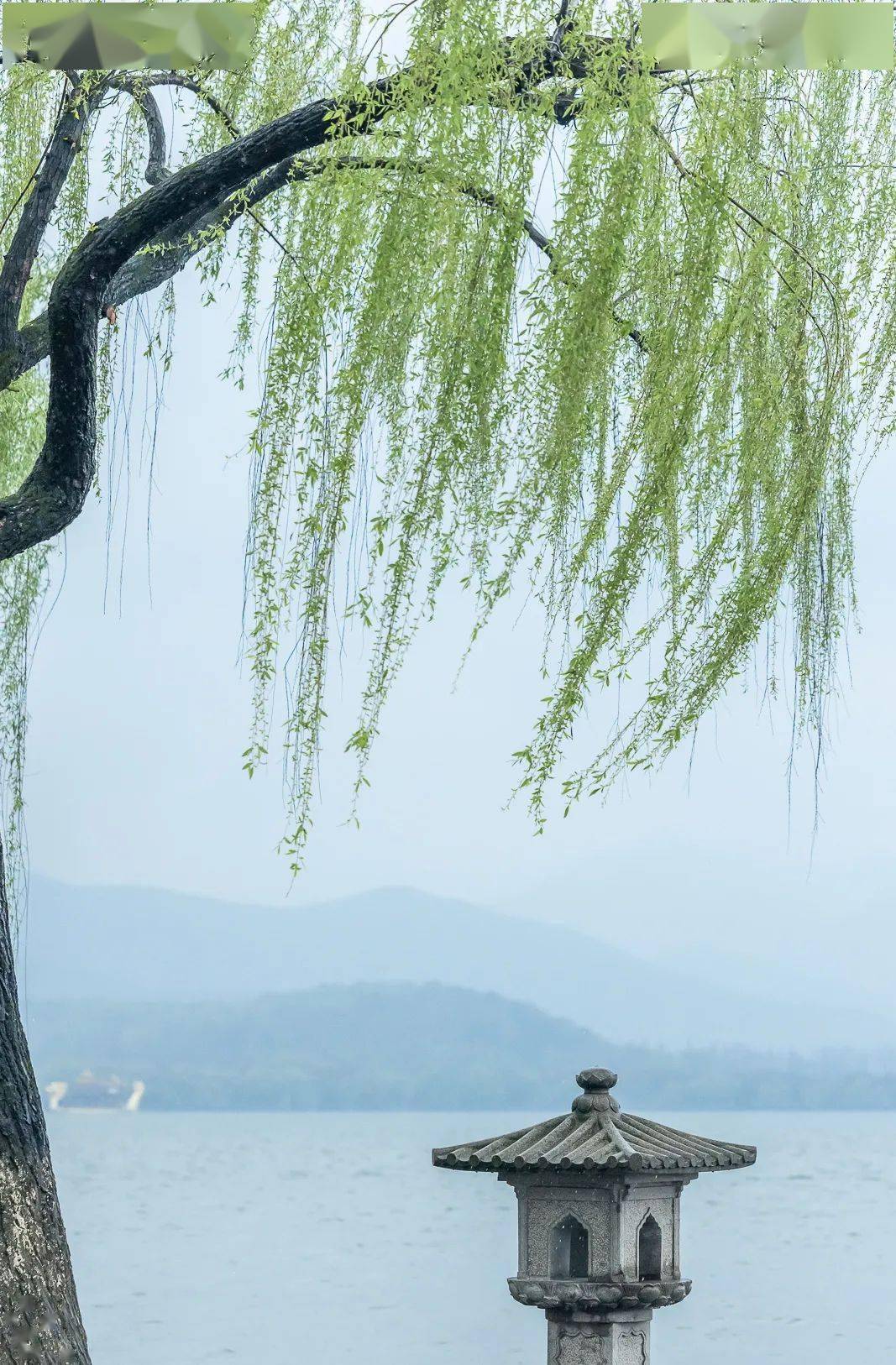 江南廿四色_瘦西湖_上图_胭脂