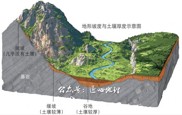 影響土壤形成與演化的因素包括成土母質,生物,氣候,地形和時間等,它們