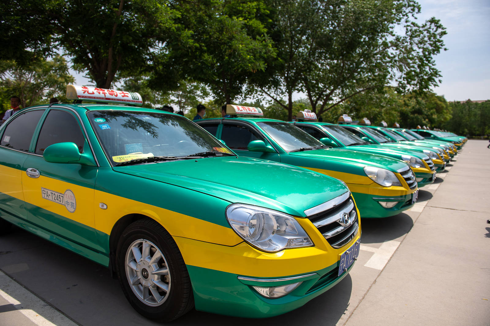 银川首届"文明驶者"寻找活动启动_出租车_建设_枸杞