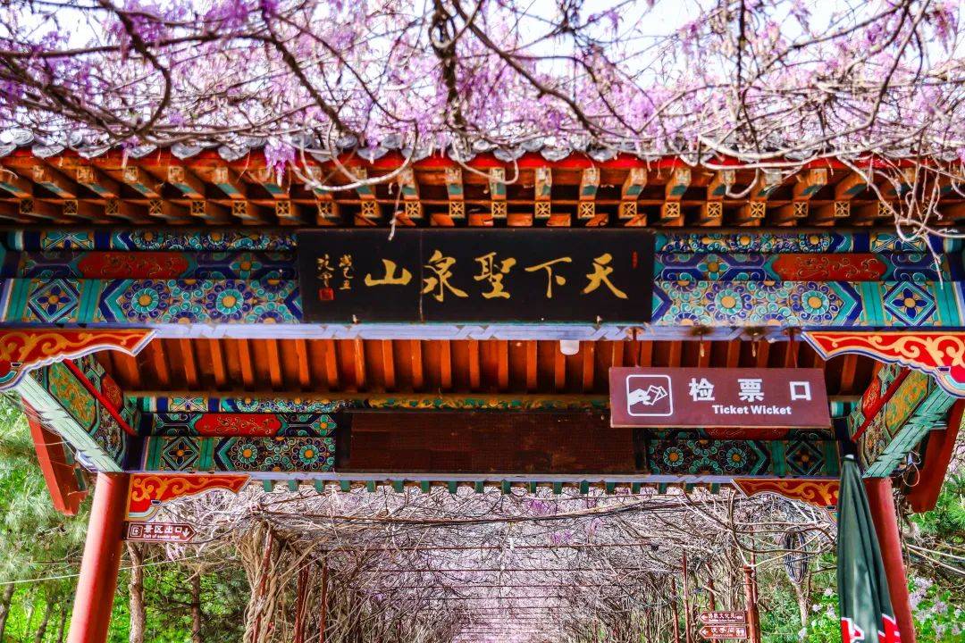 怀柔圣泉山旅游风景区恢复开园_工作_疫情_北京