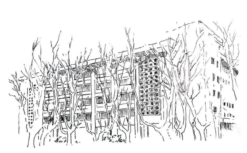 我的东大故事 | 郜佩君:手绘母校百廿时光_教育_国立中央_大学