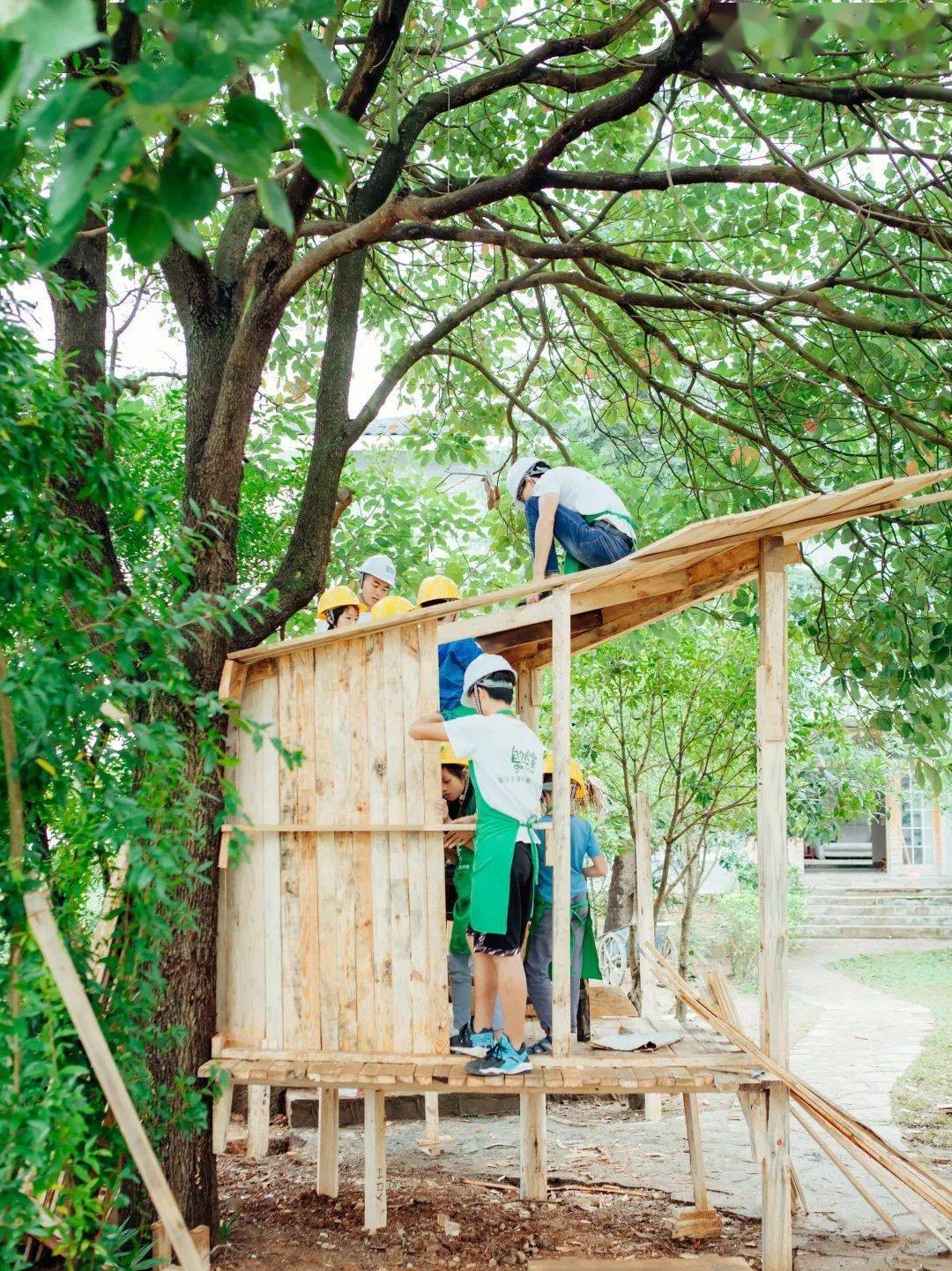 暑假招募让孩子亲手建一个树屋吧