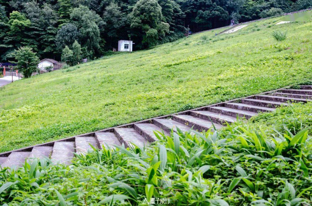 唤醒柒月麓山的爱对酒当歌人生几何