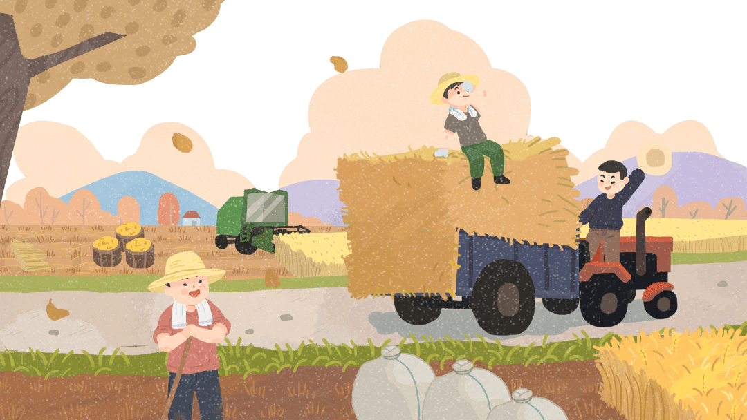 夏收农忙正当时江口小麦喜迎丰收