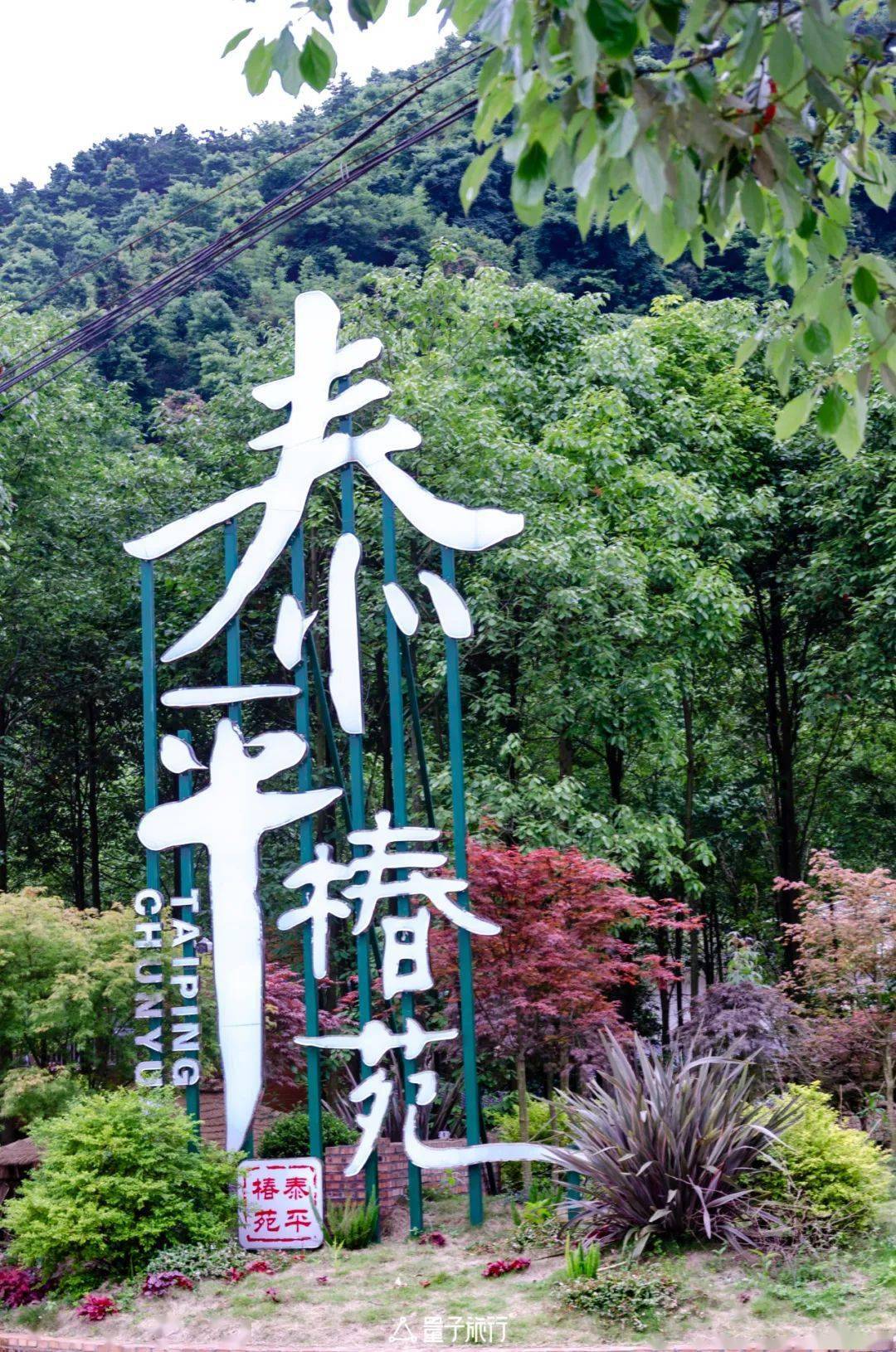 我们此次的主题是养生局,选择柒月麓山,向往着这里良好的康养环境
