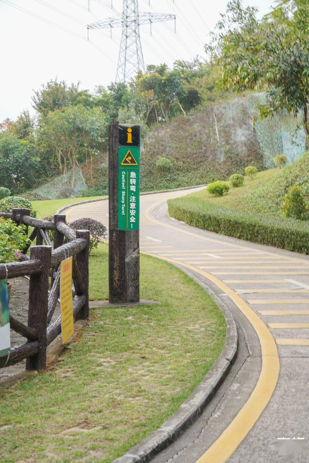 深圳这些原生态绿道绝了