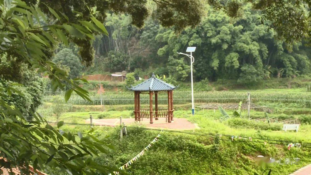 高州又一個網紅公園要完工!你知在哪嗎?_鄉村_石板鎮_鄉賢