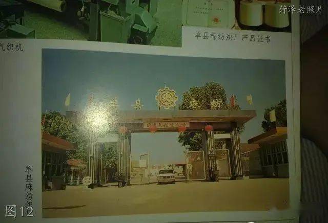 单县蚕茧