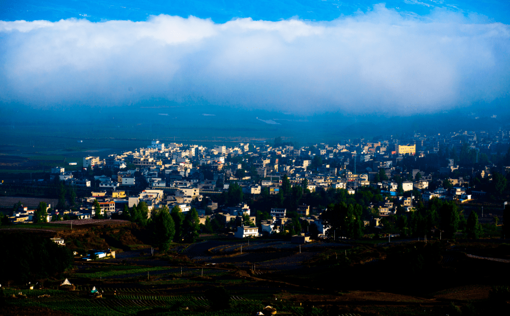 朱提影像九十四云中小镇龙树