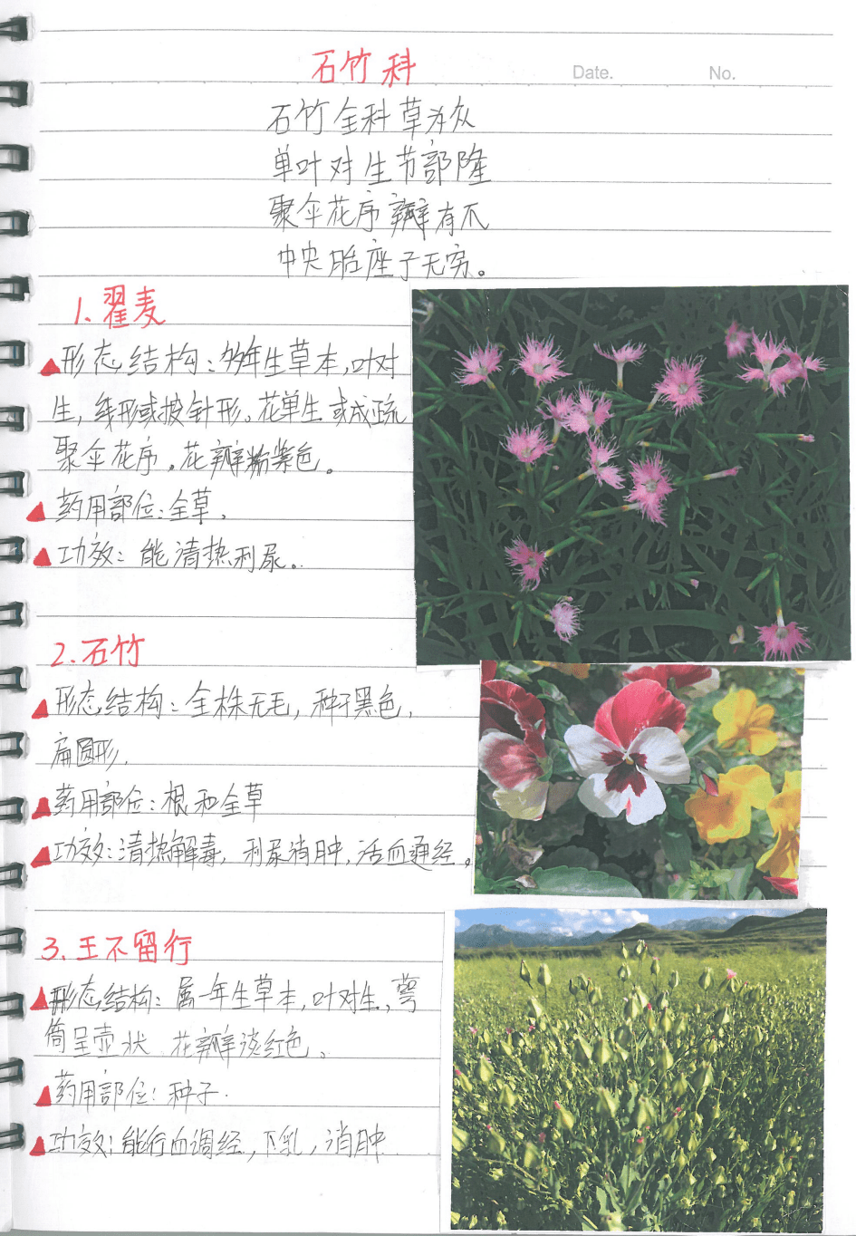 笔向未来厚记薄发浙江农林大学首届最美笔记大赛评选火热进行中等你来