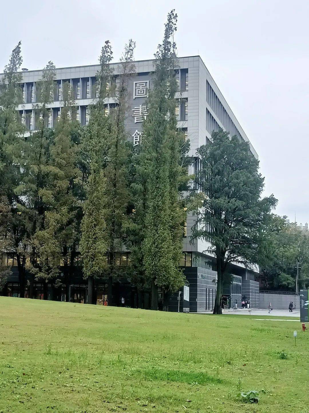 南林_水杉_实验