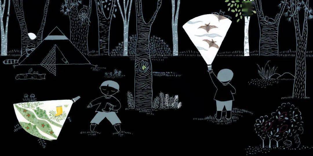 新书推介|《手电筒看见了什么》:一堂妙趣横生的自然观察与实践课