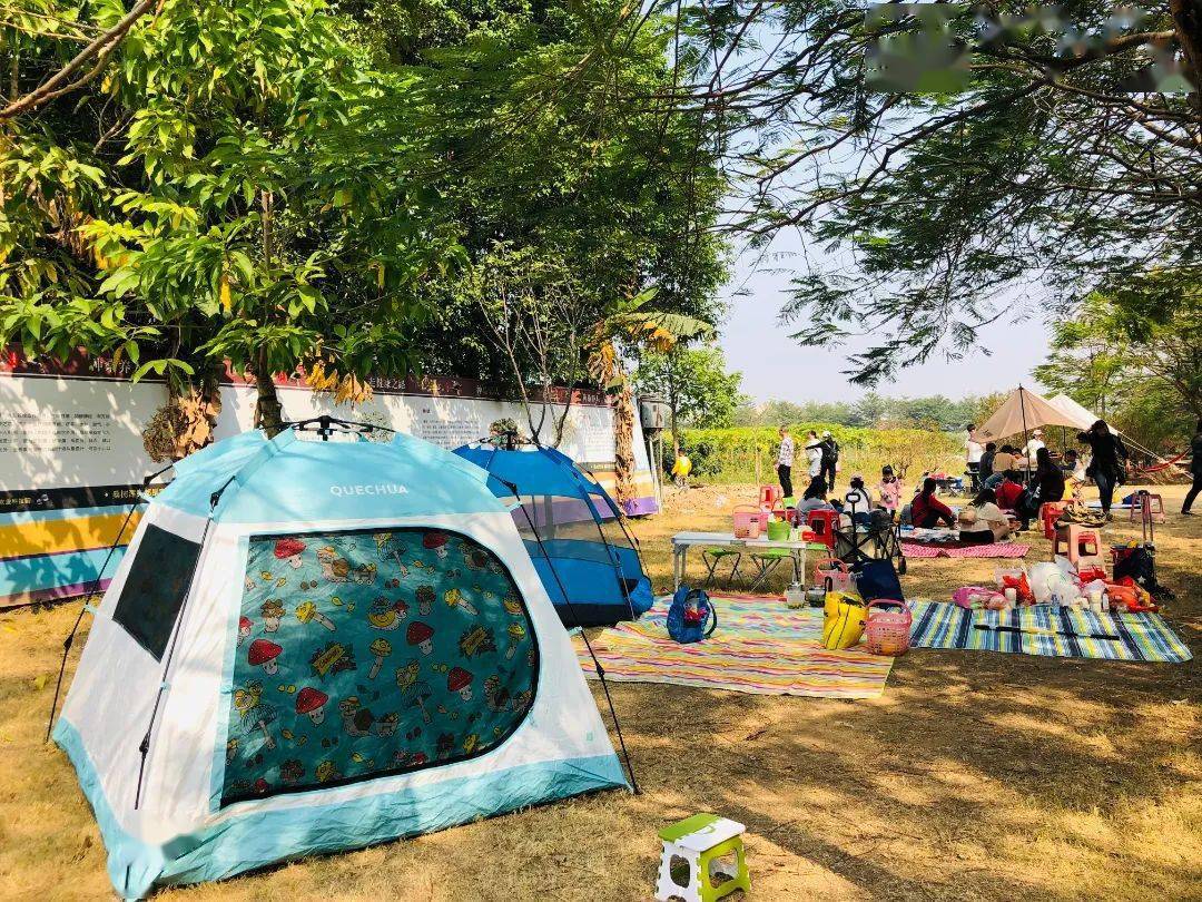 旭景农业科技园自对外营业以来,受到广大游客市民欢迎,集科技培训