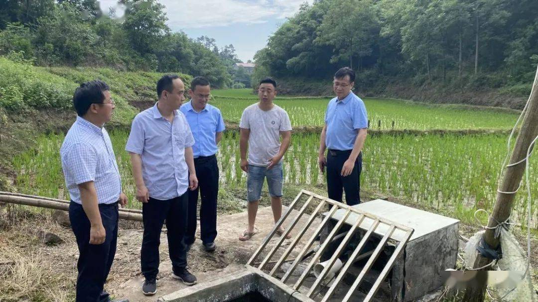 唐浩然来芷检查指导防汛救灾工作