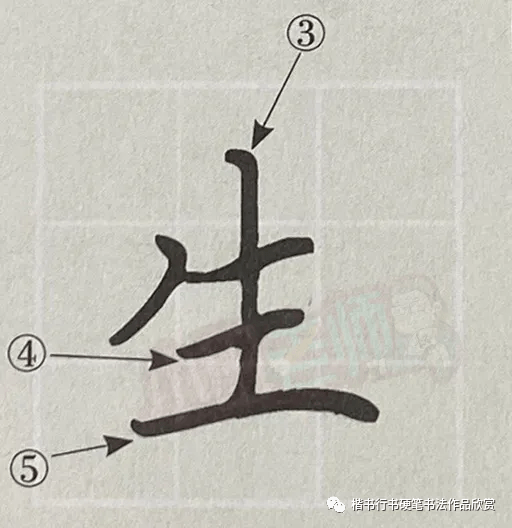 硬筆書法手寫示範筆順正確寫法動態圖