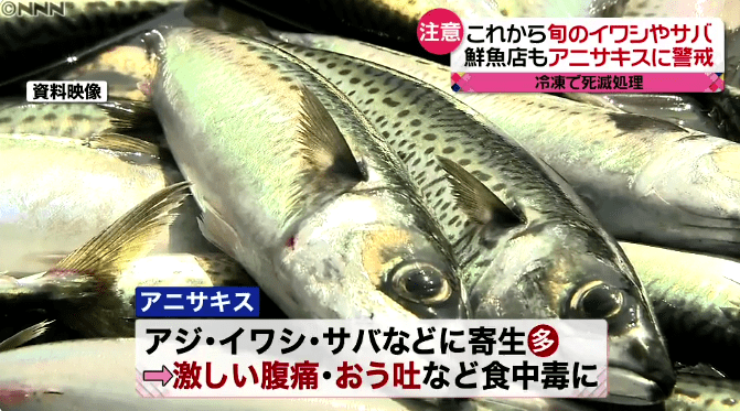 日本现百余起食用生鱼中毒事件：民众剧烈腹痛、呕吐