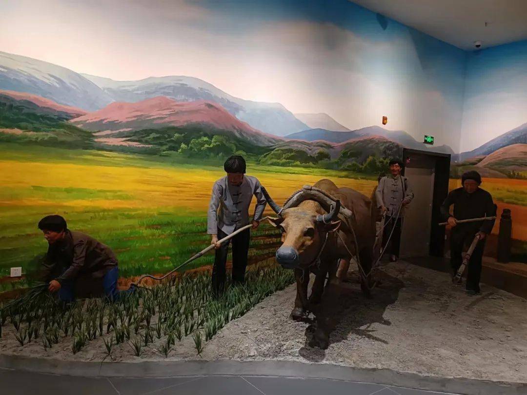 走进博物馆成长无边界参观林西县博物馆主题教育活动