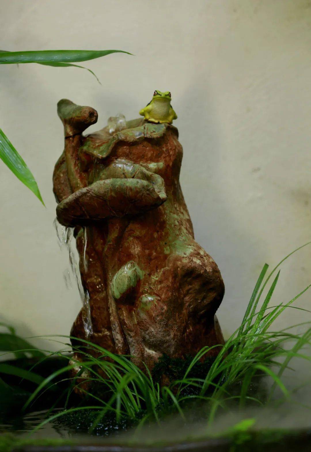 西庐蒲话(一)_剃头_虎须_金钱