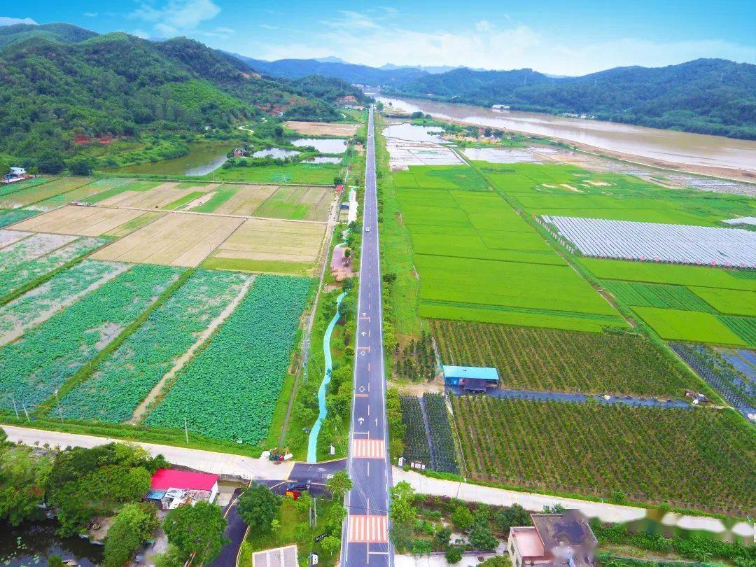 雲浮市雲安區清遠市連南瑤族自治縣清遠市連州市肇慶市廣寧縣湛江市