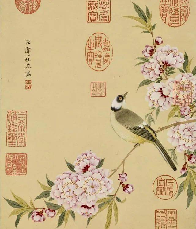 邹一桂  花鳥 邹一桂花鸟画欣赏（一）_花卉_小山_百花