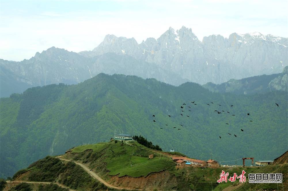 夏日,横亘岷山山脉,距离岷县县城40公里的铁尺梁,这里海拔3500米,远处
