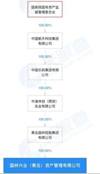 国林系多家公司涉非吸被立案 曾以假材料冒充国企被打假(图3)