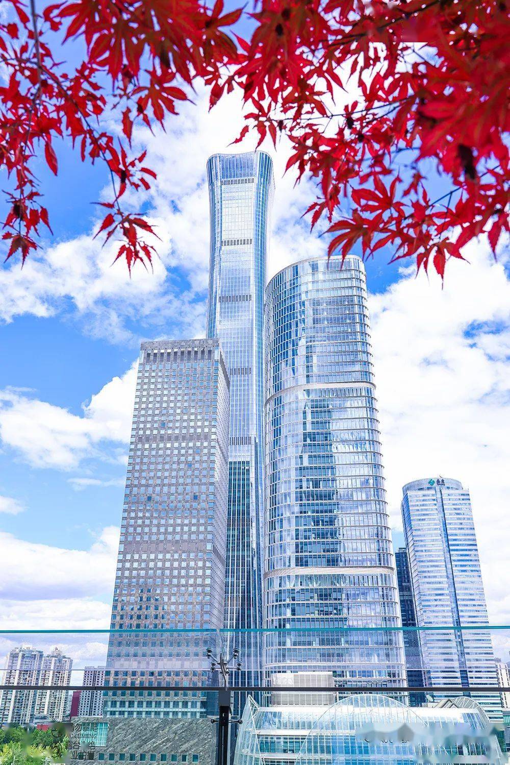 美景 美食,国贸露台回归啦!_焕新_餐厅_夜景