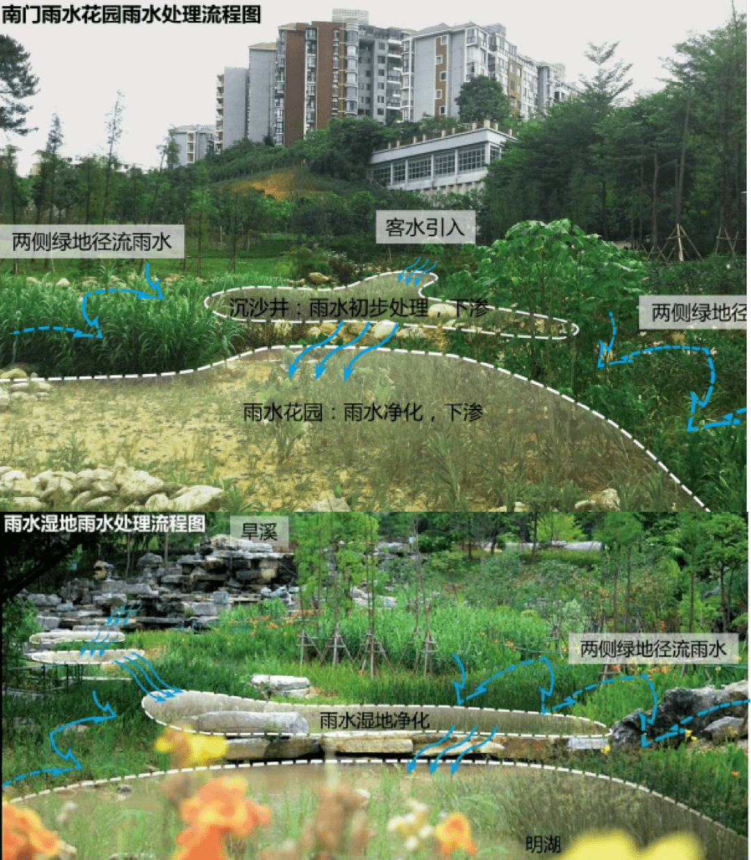 生物多样性宣传月|带你了解南宁海绵城市建设_自然资源_秦德全_水体