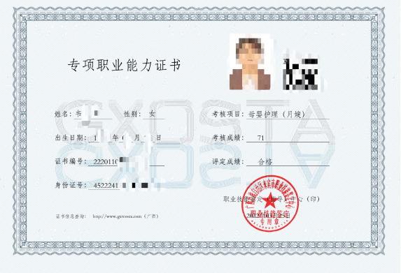 职业技能证书有哪些怎么考在哪查