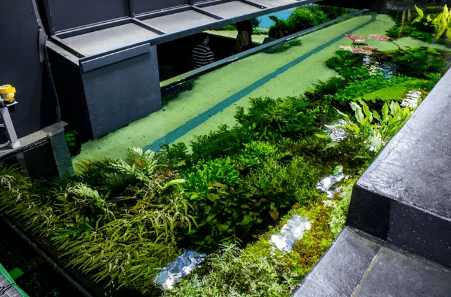 水下部分细节细心地维护 强大的系统=长久的观赏性更多天野尚作品戳