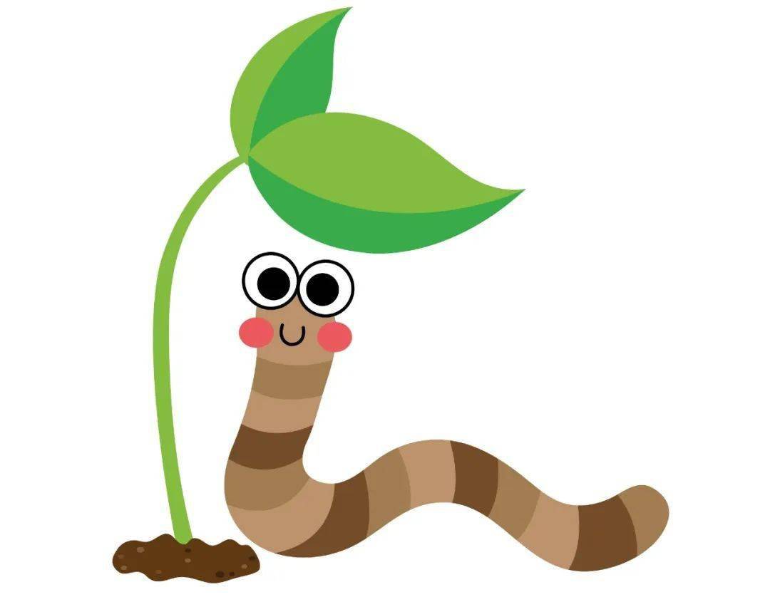 皮肤_芦荟_人体