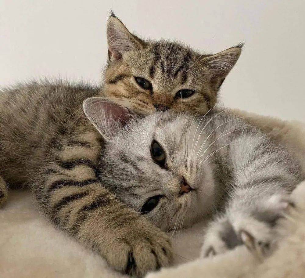 8个tips学会高质量陪伴