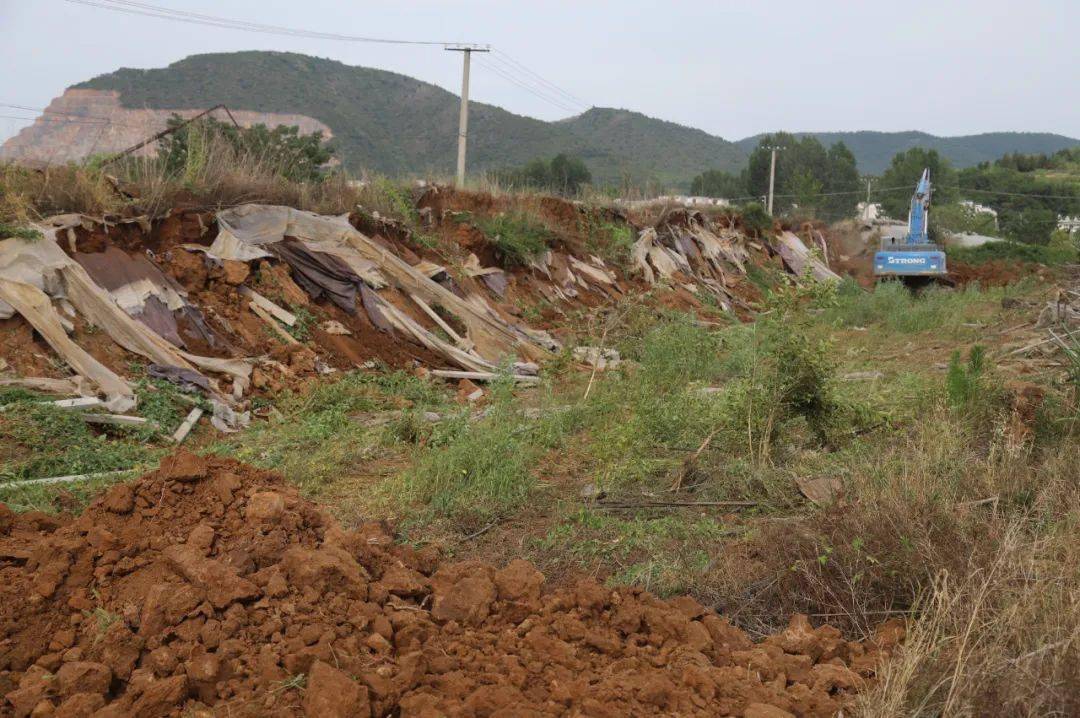 上集强力拆除57个蔬菜大棚张营村172线下违章建筑