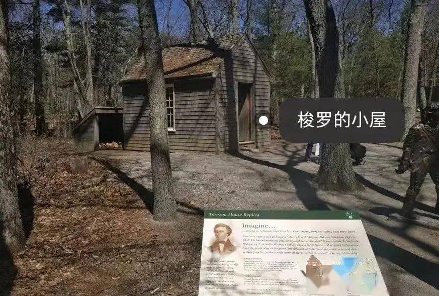 【青听环语】丨文学之声——《瓦尔登湖》读后感_生活_梭罗_人生