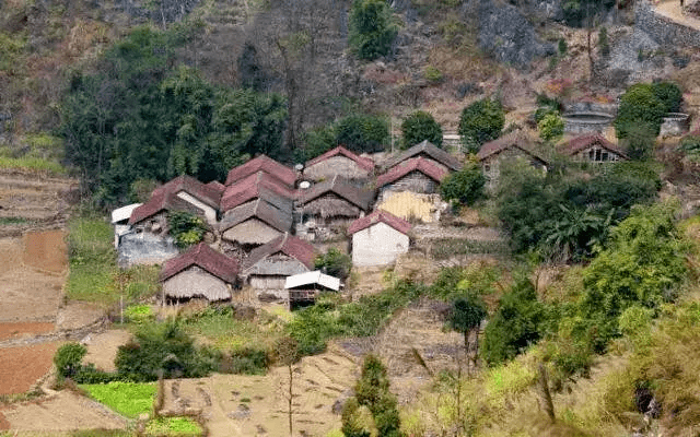 平流屯地处滇黔桂三省(区)交界处,金钟山黑颈长尾雉国家级自然保护区