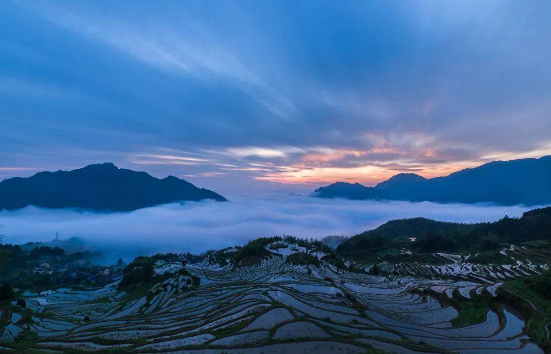 刘海波_陈忠人_刘丽莉