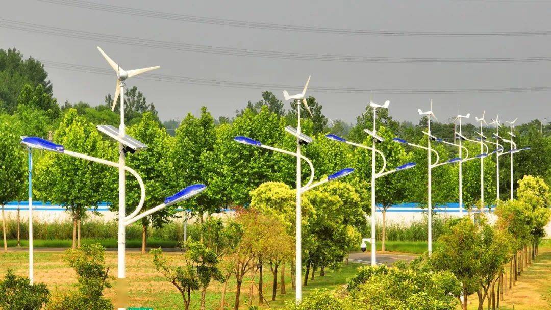 跟我来光伏生态园带您云观赏