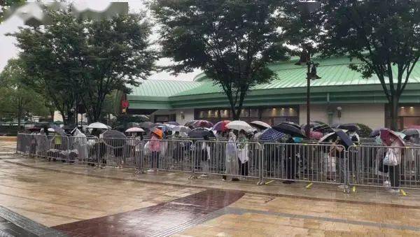上海迪士尼部分恢复运营，游客冒雨排队进商店，不少人买了星黛露