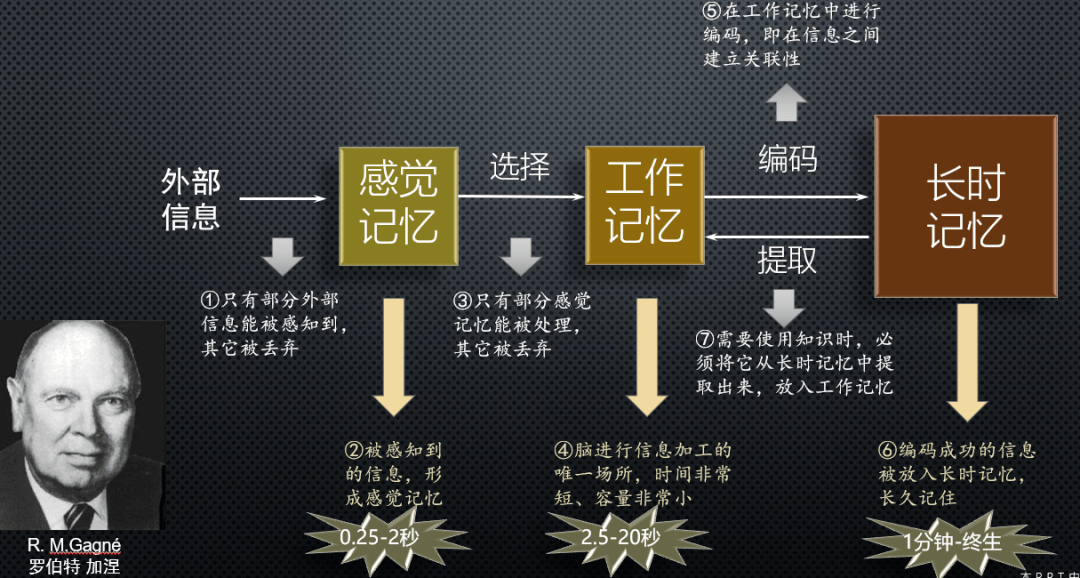 提升教學能力的必修課:《學習理論》_貝爾_布魯納_認知